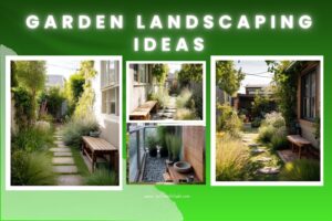 garden landscaping ideas