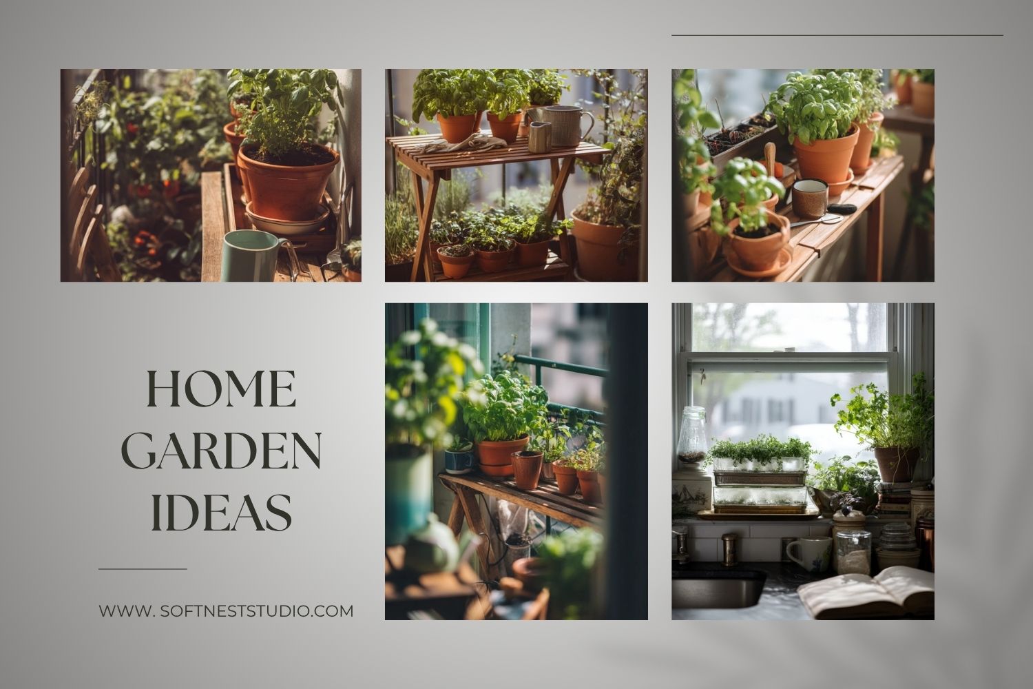 home garden ideas